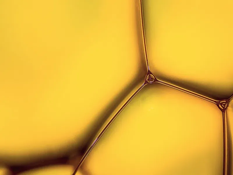 Vitamin E Test