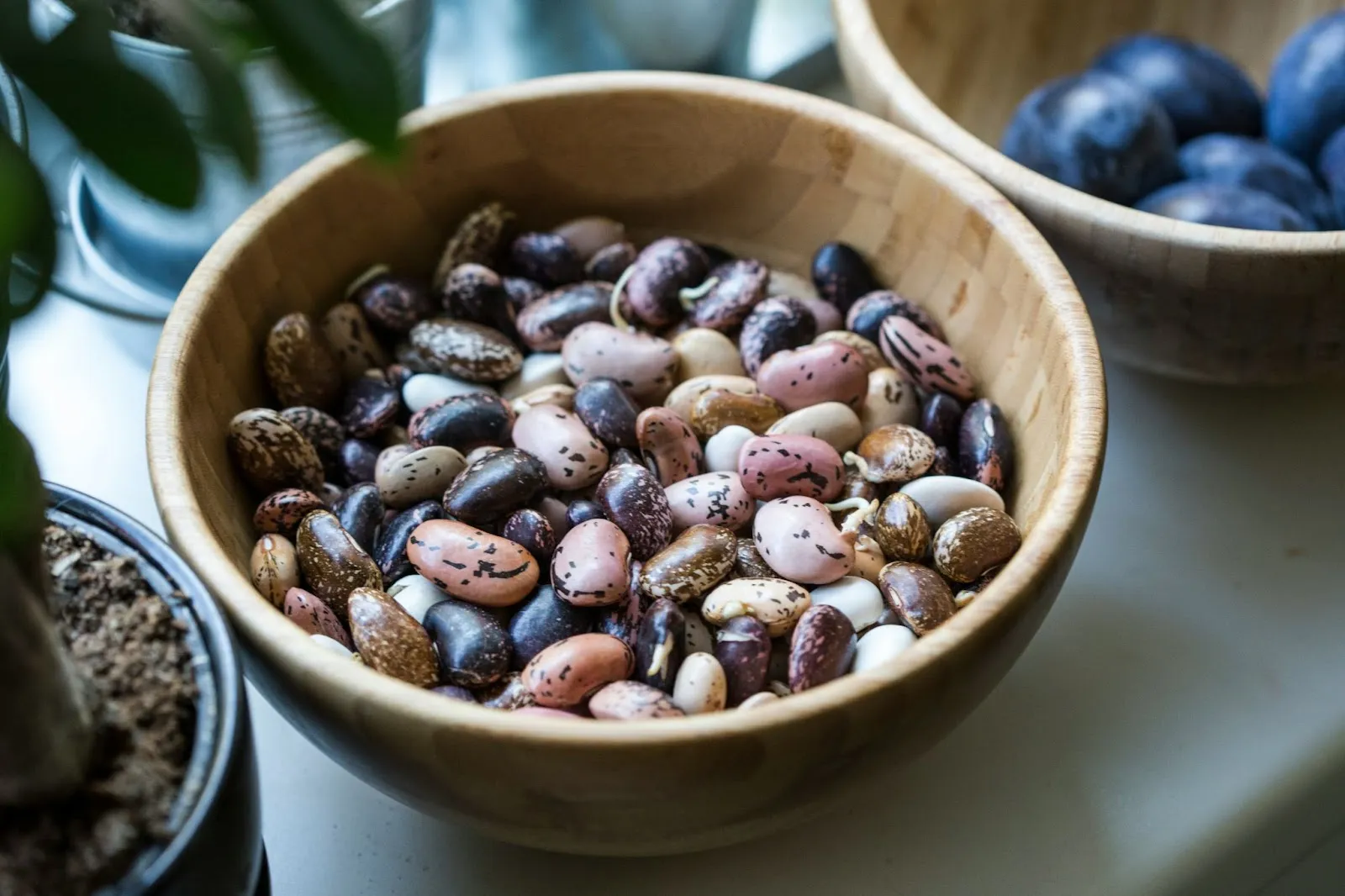 Which Foods Are High in Spermidine?